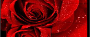 店員瘋狂發傳單，顧客卻頭也不抬？LED廣告機‘強制吸睛’的5個心機設計”